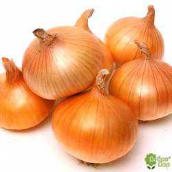 ����������� ���� ����� ���� ���������� ��������