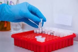 ����� �������� ����� ����