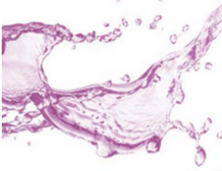 ���������� ���� � ������� �����������������