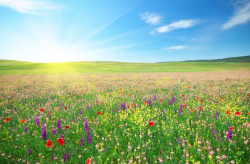 ��������� ��������� ���������