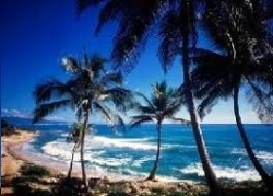 ����� ����� �������� � ����������?