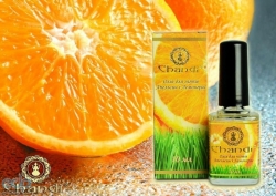 ������������ ������� ��������� � ��������