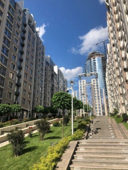 ��� ������ �������� � ��������� ������: ����, �����������, ��������