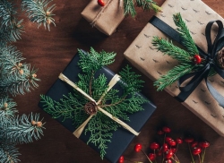 ��� ��������� �� ����� ��: �� ������� �� ������� �������?