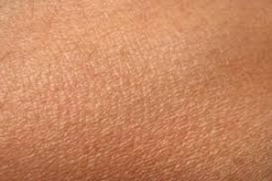 ���� ���� ������� �������� �����